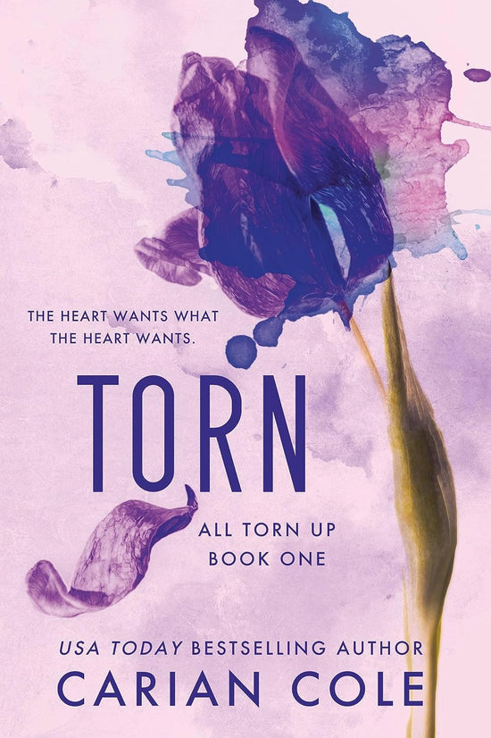Torn (All Torn Up 
