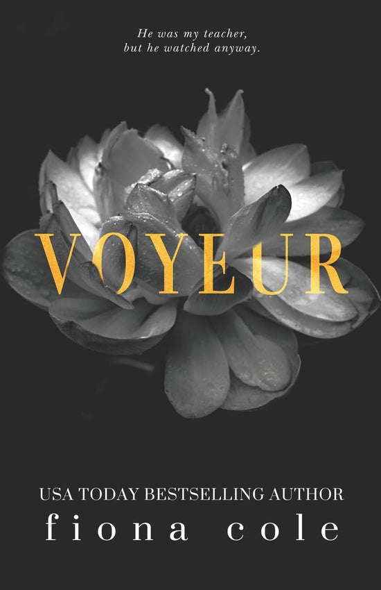 Voyeur (Voyeur Series 